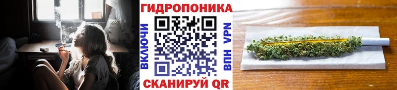 Где купить наркотики Заречный Гашиш  Амфетамин  APVP  кракен онион  Конопля  Меф мяу мяу 