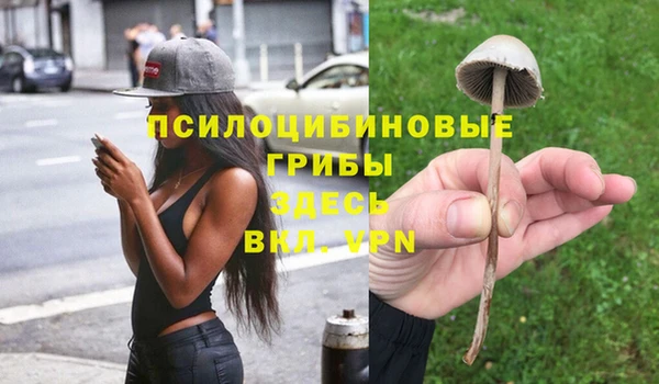 хмурый Балабаново