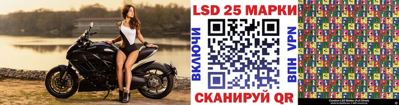 darknet состав  как найти закладки  Заречный  Наркотические марки 1,5мг 