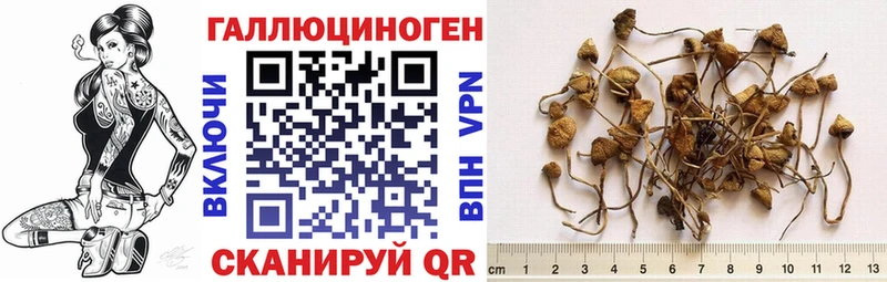 Галлюциногенные грибы GOLDEN TEACHER  Заречный 